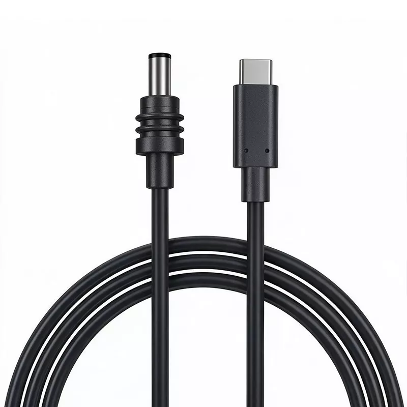 Starlink 미니 DC 전원 케이블 - USB C 케이블
